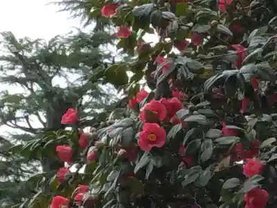 東光禅寺(神奈川県)