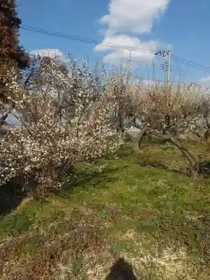 梅野森天満宮(栃木県)