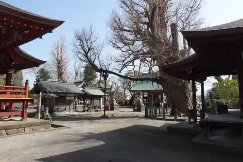 勝福寺(神奈川県)