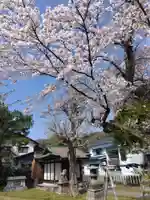 世直神社(福井県)