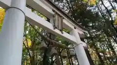 宝登山神社奥宮(埼玉県)