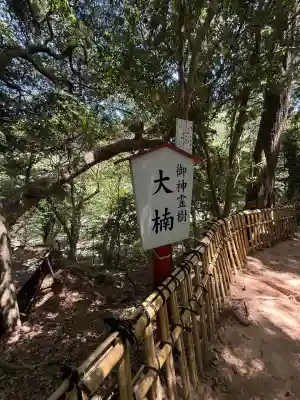 住吉神社の{uncategorized: "未分類", other: "その他", undefined: "問題あり", building: "その他建物", grave: "お墓", sacred_gate: "鳥居", guardian: "狛犬", statue: "像", buddha: "仏像", history: "歴史", nature: "自然", garden: "庭園", animal: "動物", pagoda: "塔", temizu: "手水舎", mountain_gate: "山門・神門", sanctuary: "本殿・本堂", subordinate: "末社・摂社", art: "芸術", scenery: "景色", jizo: "地蔵", ema: "絵馬", goshuin: "御朱印", omikuji: "おみくじ", items: "授与品その他", amulet: "お守り", goshuincho: "御朱印帳", eats: "食事", festival: "お祭り", votive_dance: "神楽", shichigosan: "七五三参", wedding: "結婚式", experience: "体験その他", initially: "初詣", around: "周辺", anti_infection: "感染症対策"}
