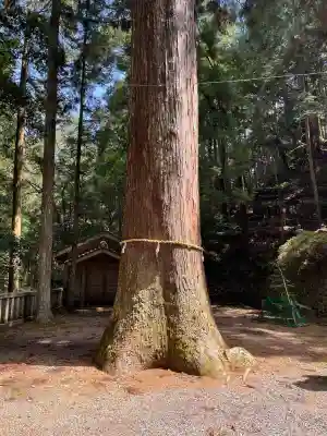内尾神社(兵庫県)