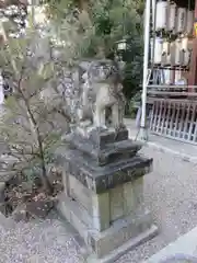 郡山八幡神社の狛犬