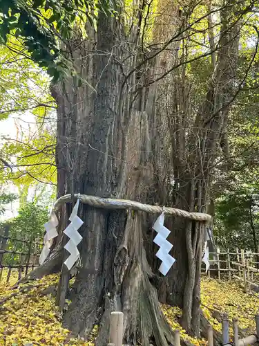 大國魂神社(東京都)
