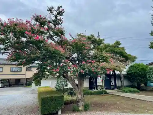 光了寺(茨城県)