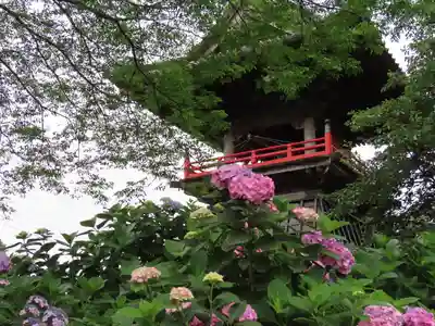 能護寺のその他建物