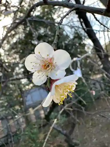 布多天神社(東京都)