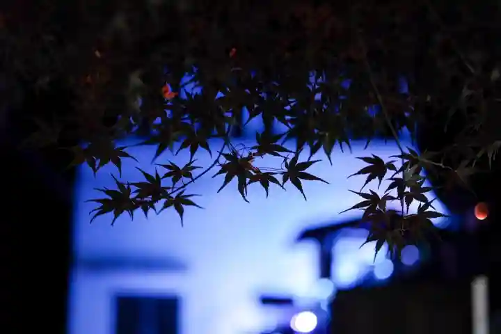 岩戸弘法弘峰寺(岐阜県)