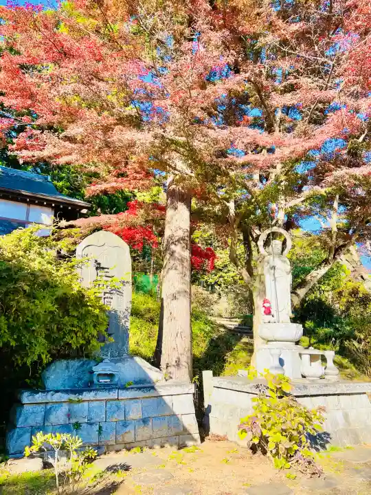 正福寺の{uncategorized: "未分類", other: "その他", undefined: "問題あり", building: "その他建物", grave: "お墓", sacred_gate: "鳥居", guardian: "狛犬", statue: "像", buddha: "仏像", history: "歴史", nature: "自然", garden: "庭園", animal: "動物", pagoda: "塔", temizu: "手水舎", mountain_gate: "山門・神門", sanctuary: "本殿・本堂", subordinate: "末社・摂社", art: "芸術", scenery: "景色", jizo: "地蔵", ema: "絵馬", goshuin: "御朱印", omikuji: "おみくじ", items: "授与品その他", amulet: "お守り", goshuincho: "御朱印帳", eats: "食事", festival: "お祭り", votive_dance: "神楽", shichigosan: "七五三参", wedding: "結婚式", experience: "体験その他", initially: "初詣", around: "周辺", anti_infection: "感染症対策"}