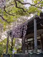 愛染院(東京都)