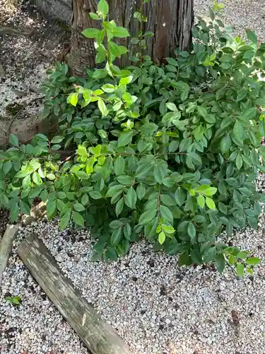 建部大社(滋賀県)