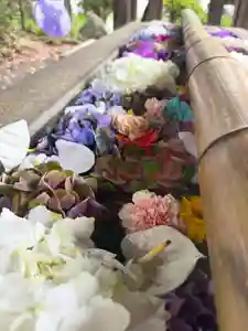 群馬県護国神社(群馬県) 2026年06月05日(金)〜(2026年06月05日(金) 20時15分11秒投稿)