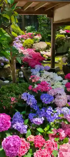 楽法寺（雨引観音）(茨城県)