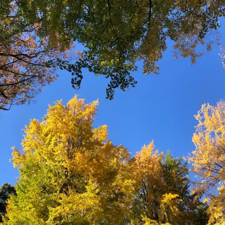 田無神社の自然