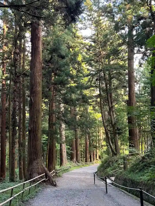 中尊寺(岩手県)