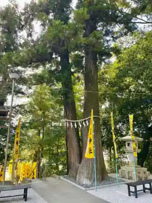 聖神社(埼玉県)