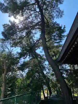 伊豆美神社(東京都)