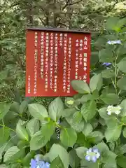 日龍峯寺(高澤観音)(美濃清水)の歴史