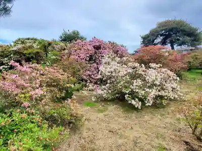 善長寺(群馬県)