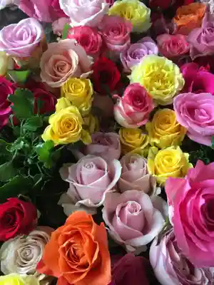 札幌諏訪神社の手水舎