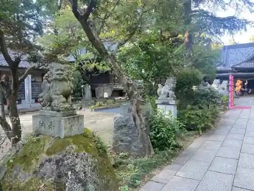 大宝八幡宮の狛犬