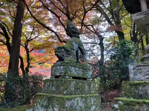 鰐淵寺(島根県)