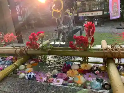 今市報徳二宮神社(栃木県)