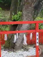 出雲神社の鳥居