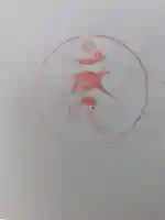 大寶寺の御朱印