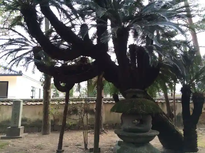 春日神社(山口県)
