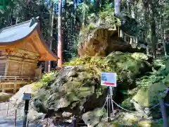 戸隠神社の自然