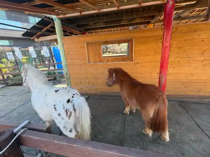 五方山熊野神社(東京都)