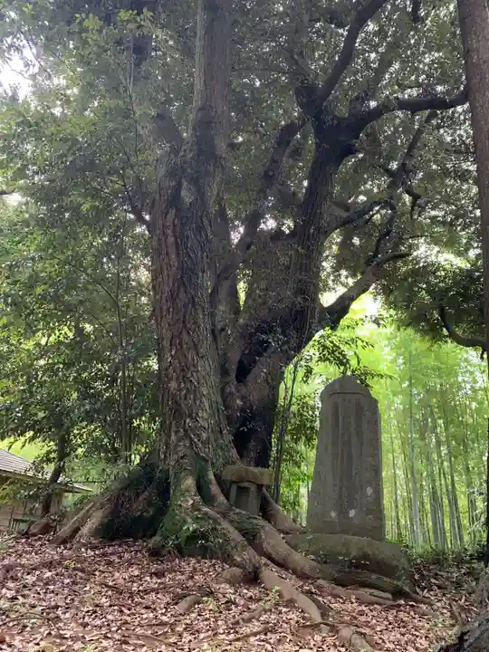 住吉神社(千葉県)