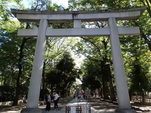 大國魂神社の鳥居