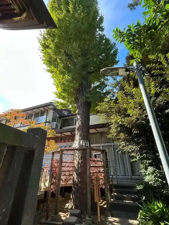 越谷香取神社(埼玉県)