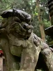 温泉神社の狛犬