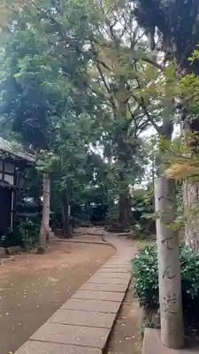 奥澤神社(東京都)