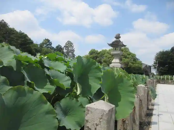 伊賀八幡宮(愛知県)