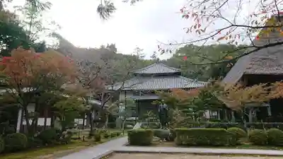 円通寺の本殿・本堂