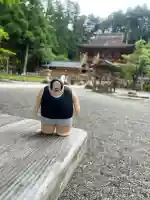 丹生都比売神社(和歌山県)