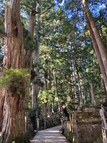 高野山金剛峯寺奥の院(和歌山県)