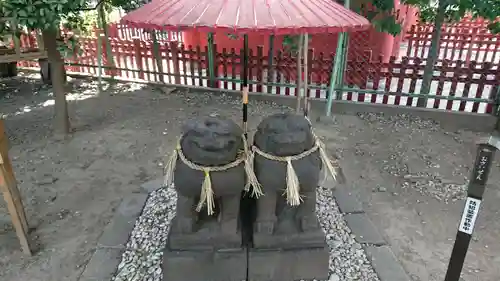 浅草神社の狛犬