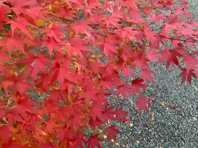 観心寺(大阪府)