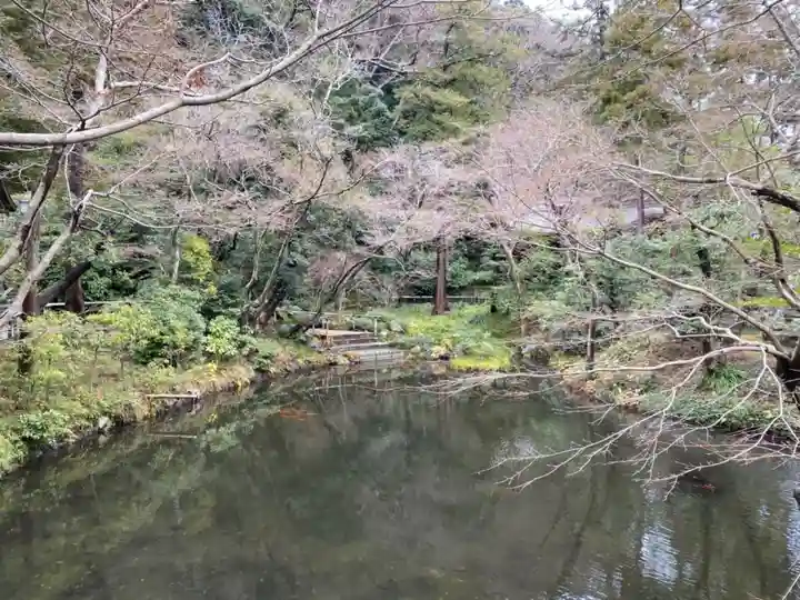 鶴岡八幡宮の庭園