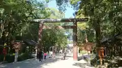 宮崎神宮の鳥居