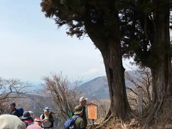 大山阿夫利神社本社の{uncategorized: "未分類", other: "その他", undefined: "問題あり", building: "その他建物", grave: "お墓", sacred_gate: "鳥居", guardian: "狛犬", statue: "像", buddha: "仏像", history: "歴史", nature: "自然", garden: "庭園", animal: "動物", pagoda: "塔", temizu: "手水舎", mountain_gate: "山門・神門", sanctuary: "本殿・本堂", subordinate: "末社・摂社", art: "芸術", scenery: "景色", jizo: "地蔵", ema: "絵馬", goshuin: "御朱印", omikuji: "おみくじ", items: "授与品その他", amulet: "お守り", goshuincho: "御朱印帳", eats: "食事", festival: "お祭り", votive_dance: "神楽", shichigosan: "七五三参", wedding: "結婚式", experience: "体験その他", initially: "初詣", around: "周辺", anti_infection: "感染症対策"}