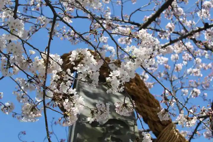 伊勢山皇大神宮の自然