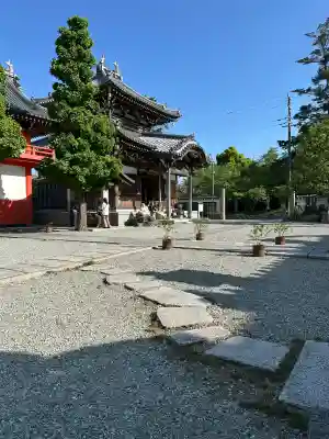 護国寺の{uncategorized: "未分類", other: "その他", undefined: "問題あり", building: "その他建物", grave: "お墓", sacred_gate: "鳥居", guardian: "狛犬", statue: "像", buddha: "仏像", history: "歴史", nature: "自然", garden: "庭園", animal: "動物", pagoda: "塔", temizu: "手水舎", mountain_gate: "山門・神門", sanctuary: "本殿・本堂", subordinate: "末社・摂社", art: "芸術", scenery: "景色", jizo: "地蔵", ema: "絵馬", goshuin: "御朱印", omikuji: "おみくじ", items: "授与品その他", amulet: "お守り", goshuincho: "御朱印帳", eats: "食事", festival: "お祭り", votive_dance: "神楽", shichigosan: "七五三参", wedding: "結婚式", experience: "体験その他", initially: "初詣", around: "周辺", anti_infection: "感染症対策"}