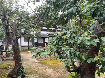 月眞院(京都府)